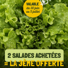 Chapeau de Paille