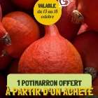 Chapeau de Paille