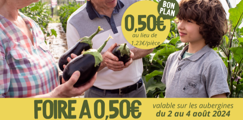 auberbines