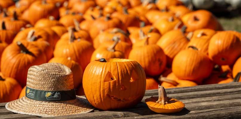 Venez chercher votre Jack'O Lantern