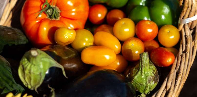 Arrivée des légumes d'été