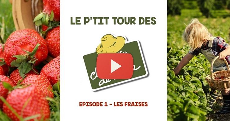 Le p'tit tour de France des cueillettes Episode 1: Les fraises